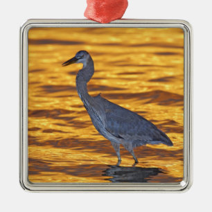USA, Florida, St. Petersburg, Fort De Soto Park. Metal Tree Decoration
