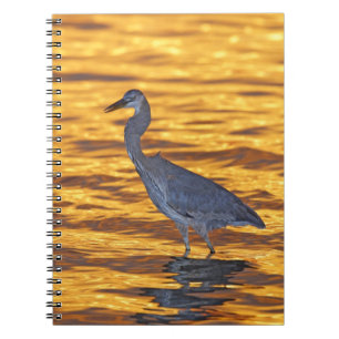 USA, Florida, St. Petersburg, Fort De Soto Park. Spiral Notebook