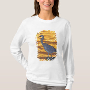 USA, Florida, St. Petersburg, Fort De Soto Park. T-Shirt