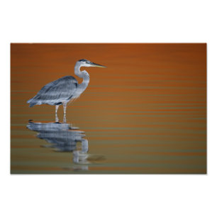 USA, Florida, St. Petersburg, Fort De Soto Photo Print