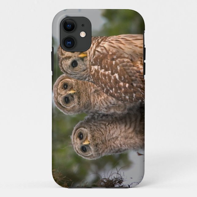USA, Florida, Viera Wetlands. Three barred Case-Mate iPhone Case (Back)