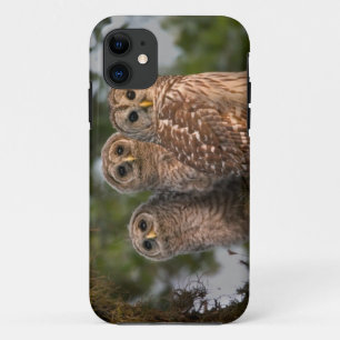 USA, Florida, Viera Wetlands. Three barred Case-Mate iPhone Case