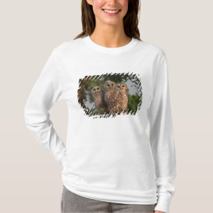 USA, Florida, Viera Wetlands. Three barred T-Shirt