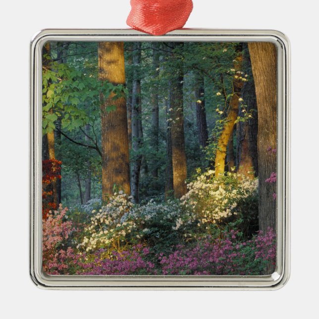 USA, Georgia, Callaway Gardens, Azalea forest. Metal Tree Decoration (Front)
