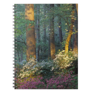 USA, Georgia, Callaway Gardens, Azalea forest. Notebook