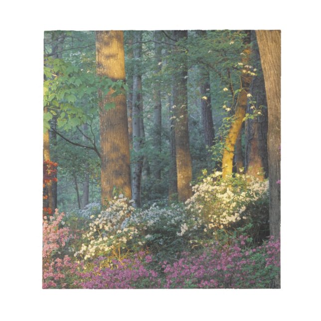 USA, Georgia, Callaway Gardens, Azalea forest. Notepad (Front)