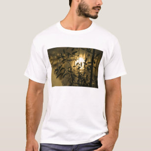 USA, Georgia, Callaway Gardens, Sunrise T-Shirt