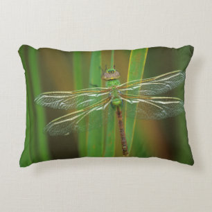 USA, Georgia. Green darner dragonfly on reeds Decorative Cushion
