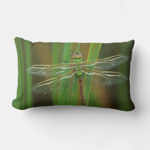 USA, Georgia. Green darner dragonfly on reeds Lumbar Cushion