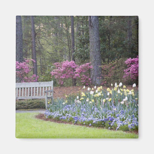 USA, Georgia, Pine Mountain. A border of Magnet (Front)