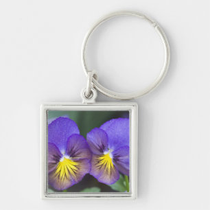 USA, Georgia, Pine Mountain. A closeup of pansy Key Ring