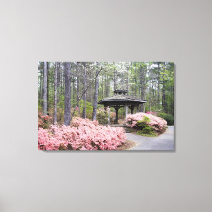 USA, Georgia, Pine Mountain. A gazebo amongst Canvas Print