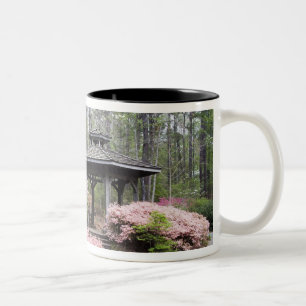 USA, Georgia, Pine Mountain. A gazebo amongst Two-Tone Coffee Mug
