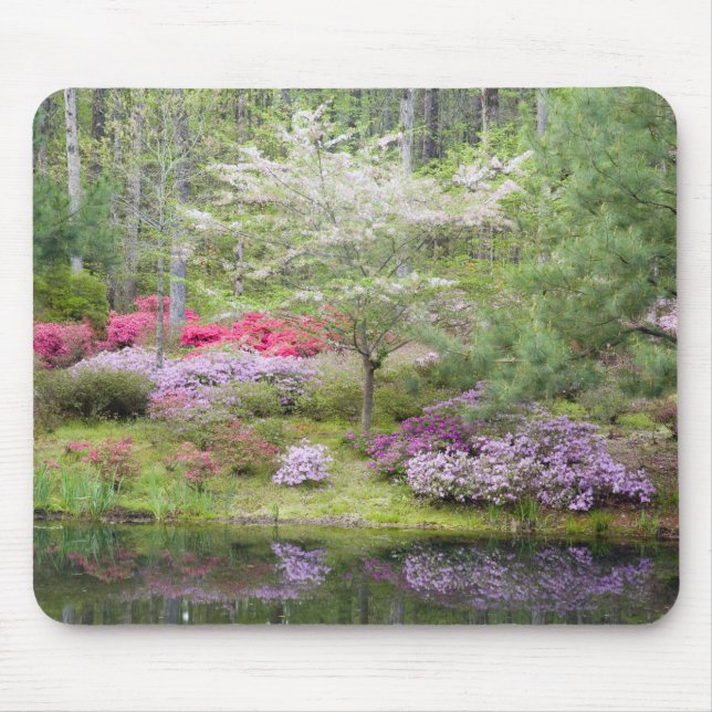 USA, Georgia, Pine Mountain. A mixture of Mouse Pad (Front)