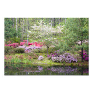 USA, Georgia, Pine Mountain. A mixture of Photo Print