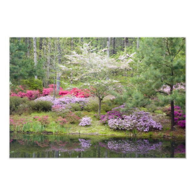 USA, Georgia, Pine Mountain. A mixture of Photo Print (Front)