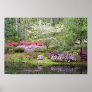 USA, Georgia, Pine Mountain. A mixture of Poster