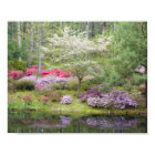 USA, Georgia, Pine Mountain. A mixture of