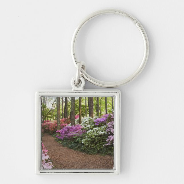 USA, Georgia, Pine Mountain. A pathway through Key Ring (Front)
