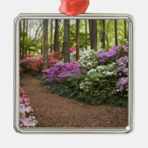 USA, Georgia, Pine Mountain. A pathway through Metal Tree Decoration