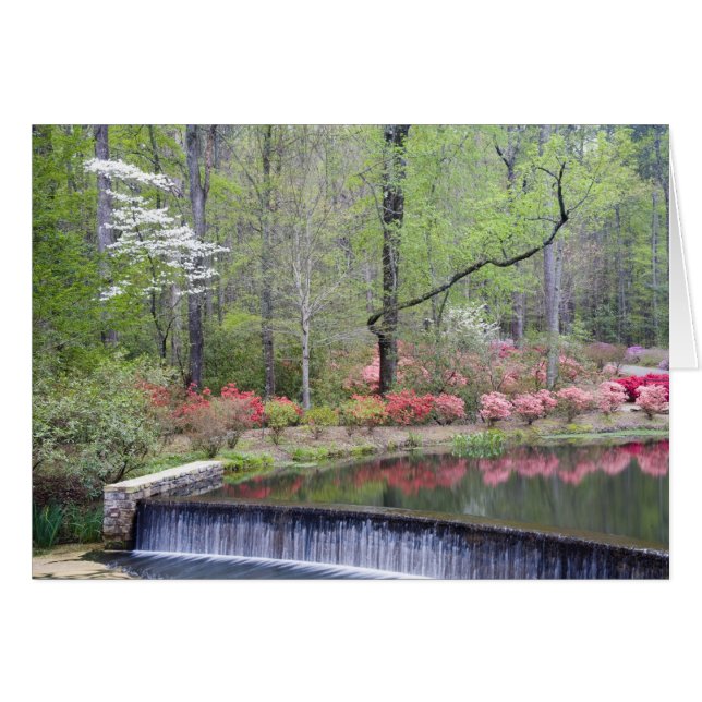 USA, Georgia, Pine Mountain. A small waterfall (Front Horizontal)