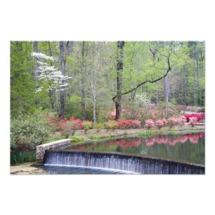 USA, Georgia, Pine Mountain. A small waterfall Photo Print