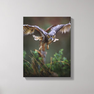 USA, Georgia, Pine Mountain, Callaway Gardens. Canvas Print