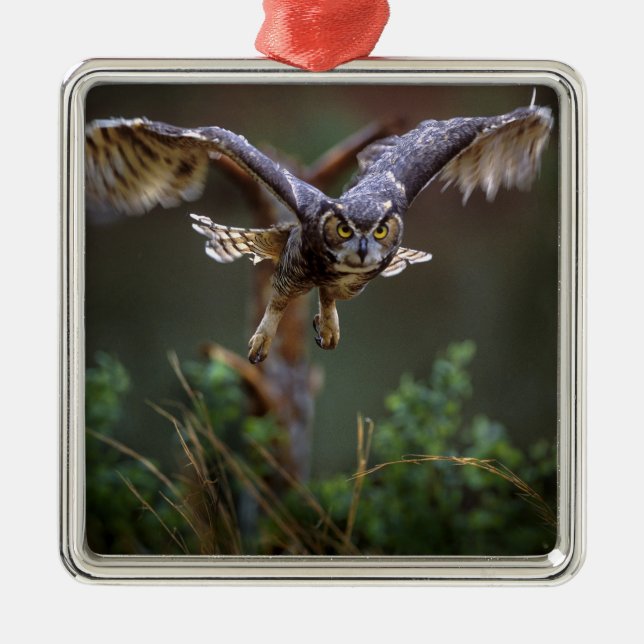 USA, Georgia, Pine Mountain, Callaway Gardens. Metal Tree Decoration (Front)