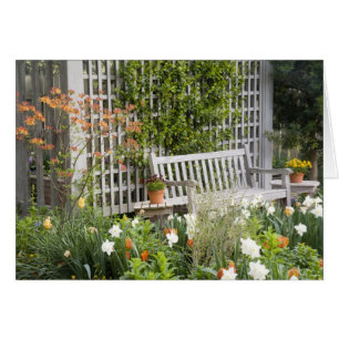 USA, Georgia, Pine Mountain. Chair in the