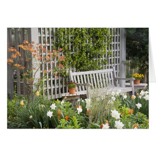 USA, Georgia, Pine Mountain. Chair in the (Front Horizontal)