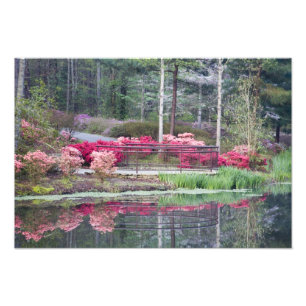USA, Georgia, Pine Mountain. Viewing area by Photo Print