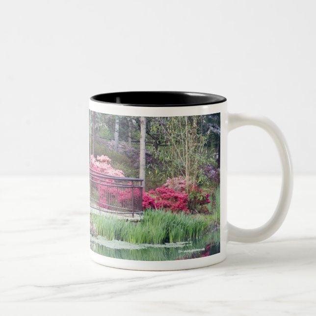 USA, Georgia, Pine Mountain. Viewing area by Two-Tone Coffee Mug (Right)