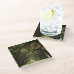 USA, Georgia, Savannah, An oak lined drive  Glass Coaster