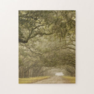 USA, Georgia, Savannah, An oak lined drive in Jigsaw Puzzle