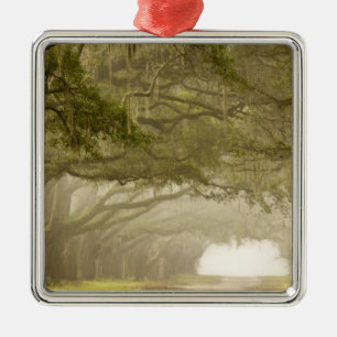 USA, Georgia, Savannah, An oak lined drive in Metal Tree Decoration