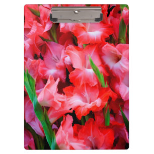 USA, Georgia, Savannah, Bouquet Of Gladiolus Clipboard