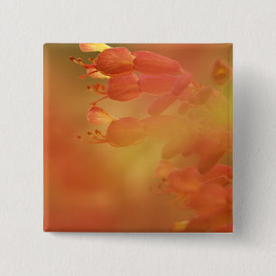 USA Georgia Savannah buckeye flower abstract 15 Cm Square Badge