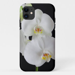 USA, Georgia, Savannah, Cluster Of Orchids Case-Mate iPhone Case