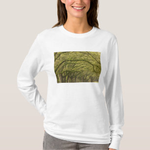 USA; Georgia; Savannah. Oak trees with T-Shirt