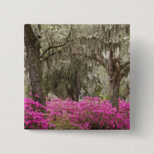 USA, Georgia, Savannah, Spring at Historic 15 Cm Square Badge