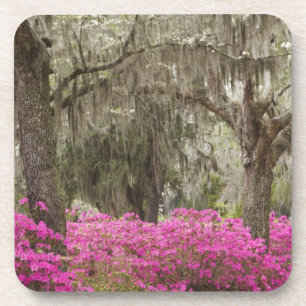 USA, Georgia, Savannah, Spring at Historic Coaster
