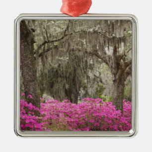 USA, Georgia, Savannah, Spring at Historic Metal Tree Decoration