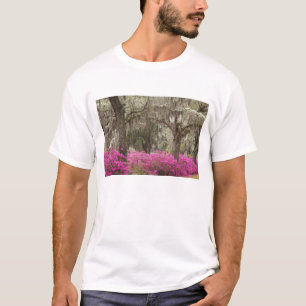 USA, Georgia, Savannah, Spring at Historic T-Shirt