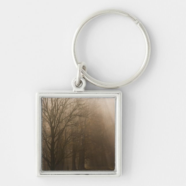 USA Great Smoky Mountain NP Tennessee trees in Key Ring (Front)