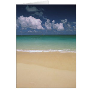 USA, Hawaii. Beach scene