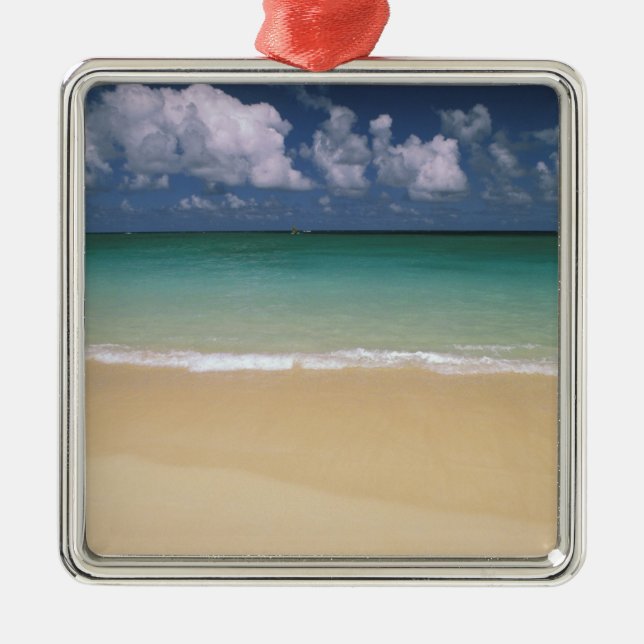 USA, Hawaii. Beach scene Metal Tree Decoration (Front)