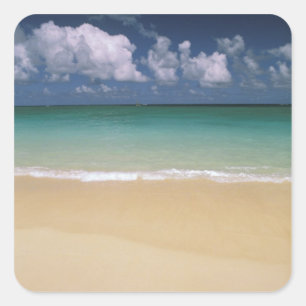 USA, Hawaii. Beach scene Square Sticker