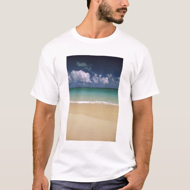 USA, Hawaii. Beach scene T-Shirt (Front)