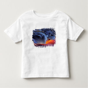 USA, Hawaii, Big Island, Kilauea, Volcanoes NP, Toddler T-Shirt