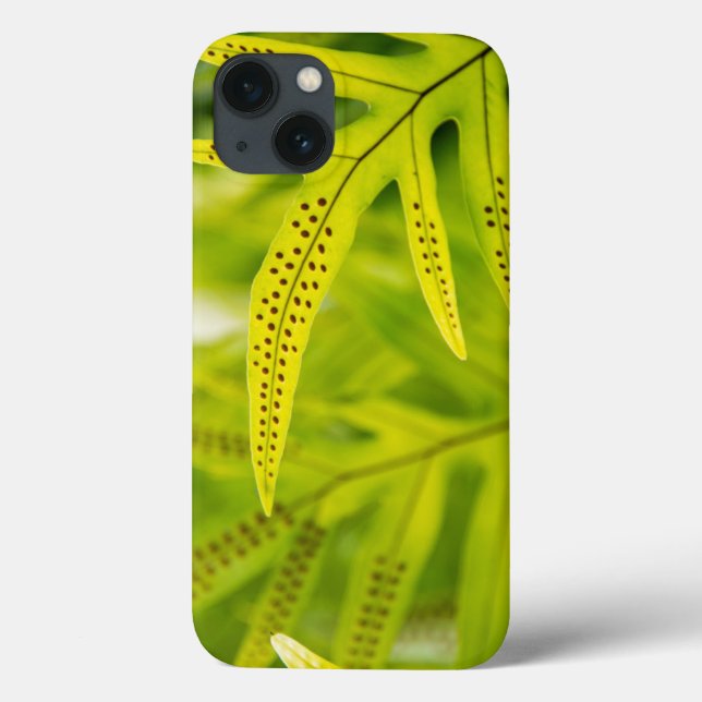USA, Hawaii, Big Island. Tropical Green Fern Case-Mate iPhone Case (Back)